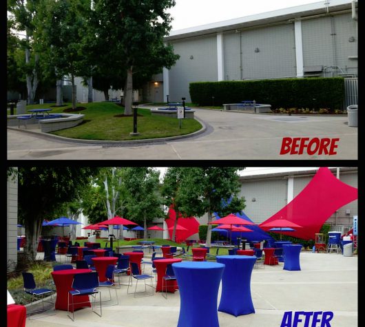 Company Picnic: Before and After