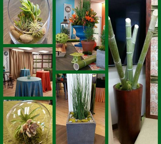 Living Centerpieces and Green Decor