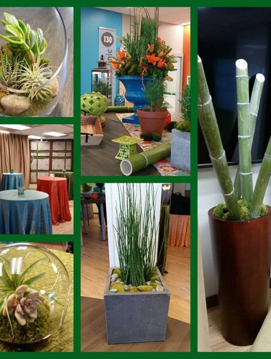 Living Centerpieces and Green Decor