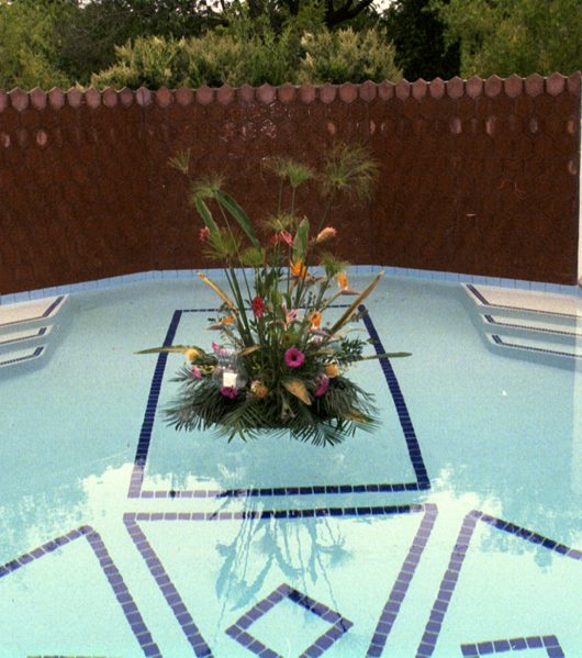 Element – Pool Treatment Example #3